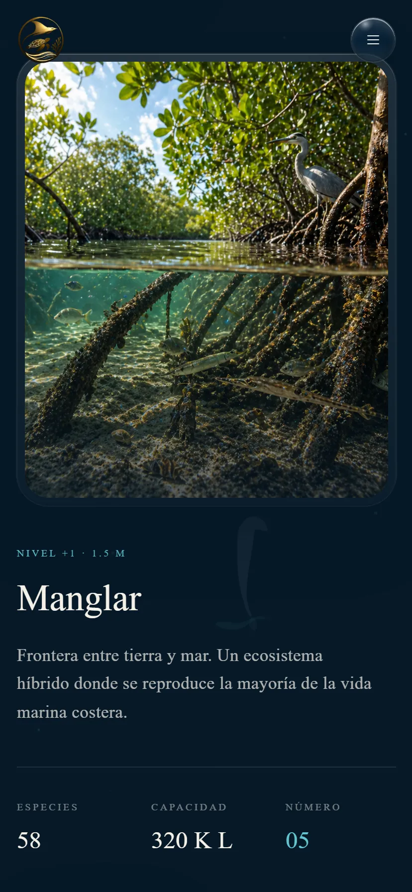 Card de bioma "Manglar" — fotografía split underwater de raíces sumergidas y garza posada en mangle, con ficha de especies y capacidad