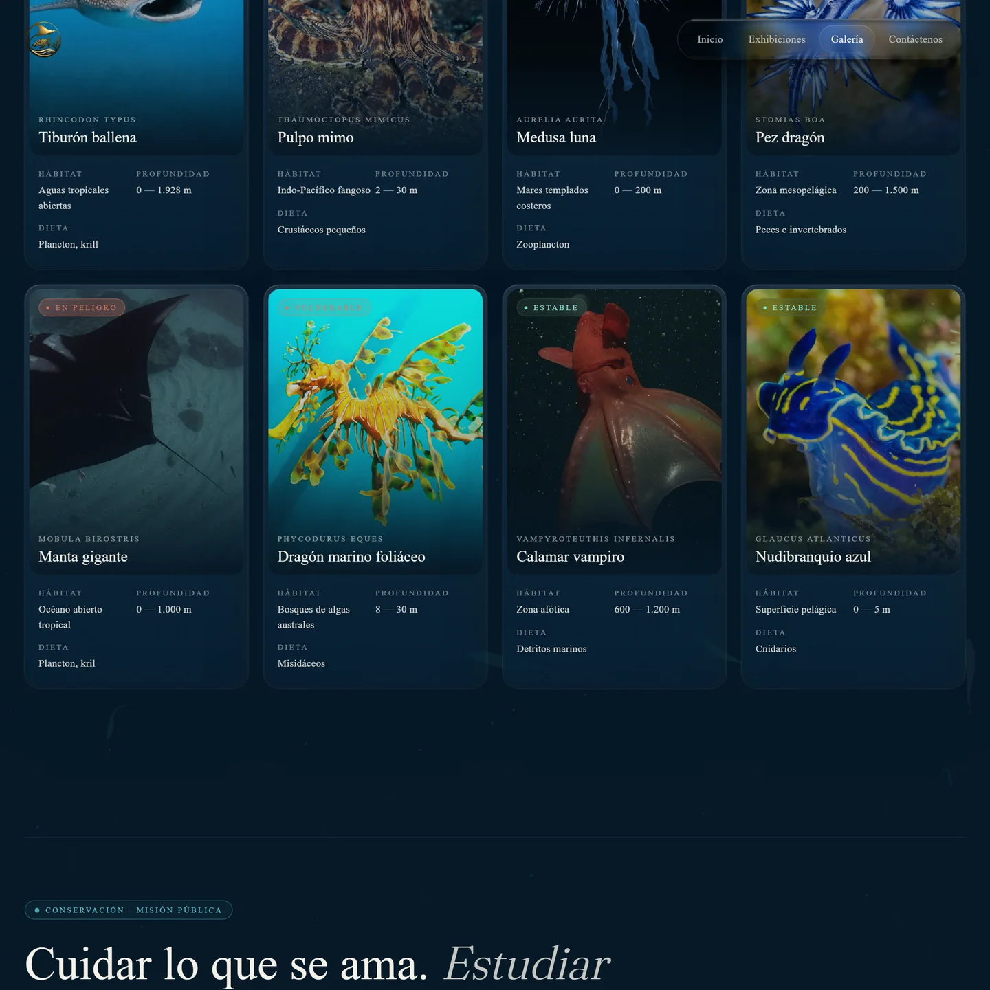 Galería de especies — fichas con fotografía de manta gigante, dragón marino foliáceo, calamar vampiro y nudibranquio azul